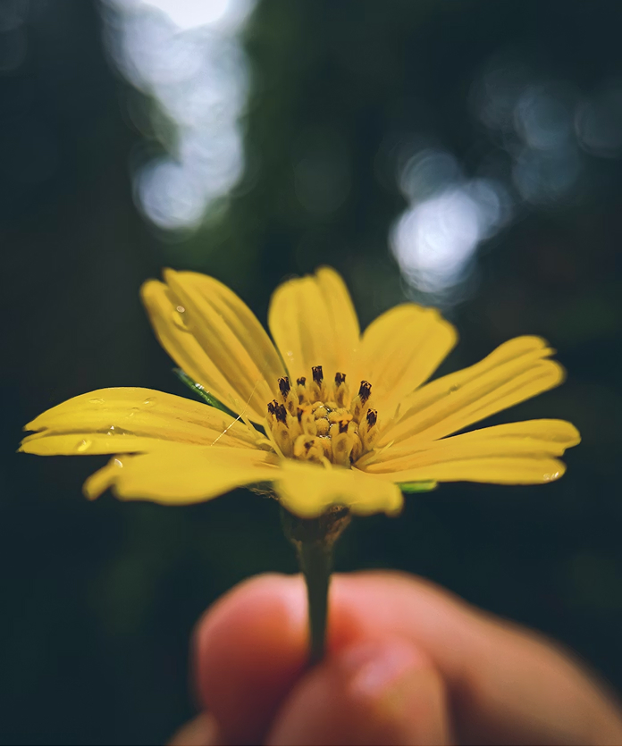 front.engagements.eco_image_alt