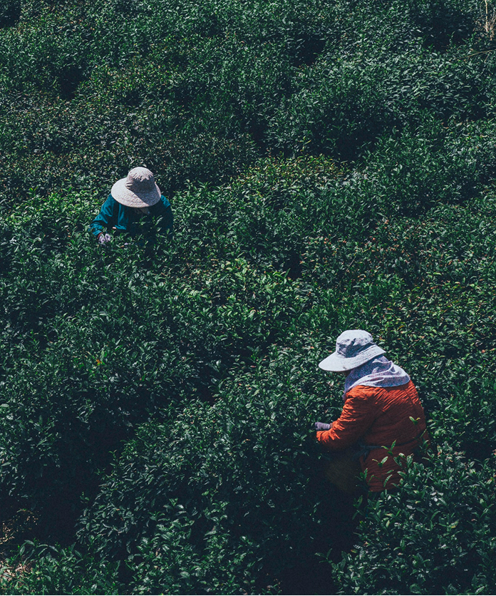 front.engagements.social_image_alt